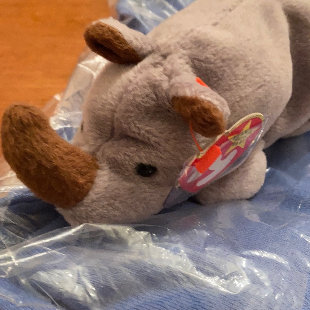 Spike the rhino needs a new home